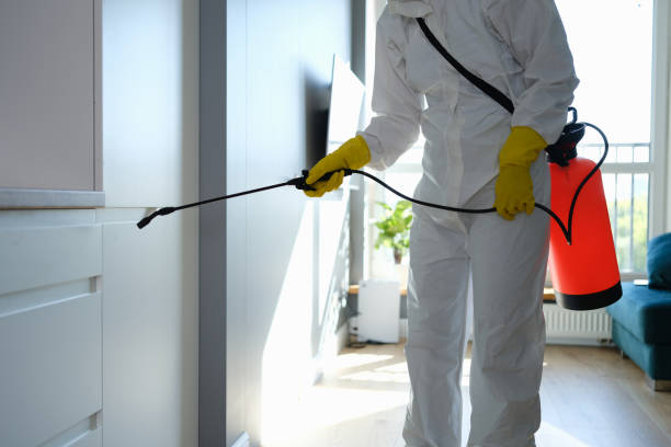 Humansville, MO Mold Removal Company