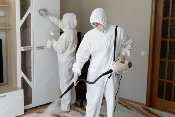 Certified Mold Removal in Humansville, MO